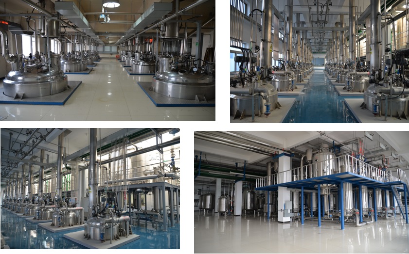 BG大游·(集团)视讯官方网站