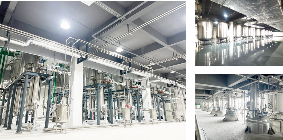 BG大游·(集团)视讯官方网站