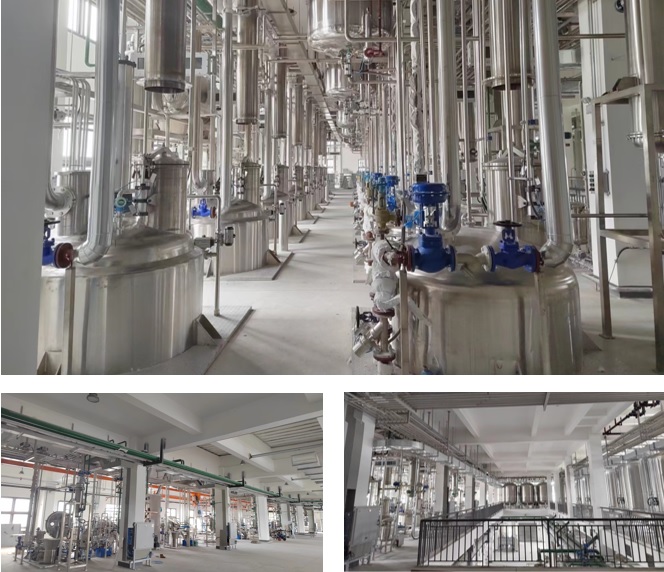 BG大游·(集团)视讯官方网站