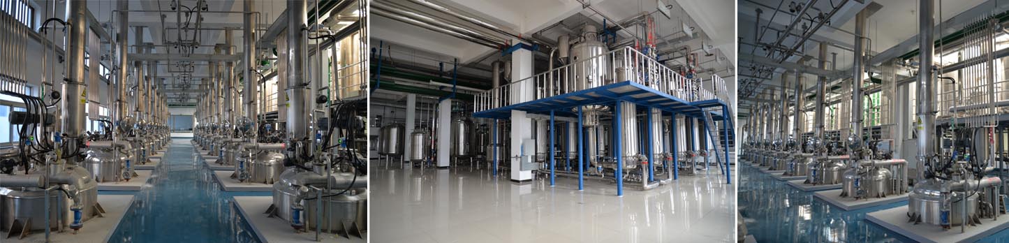 BG大游·(集团)视讯官方网站